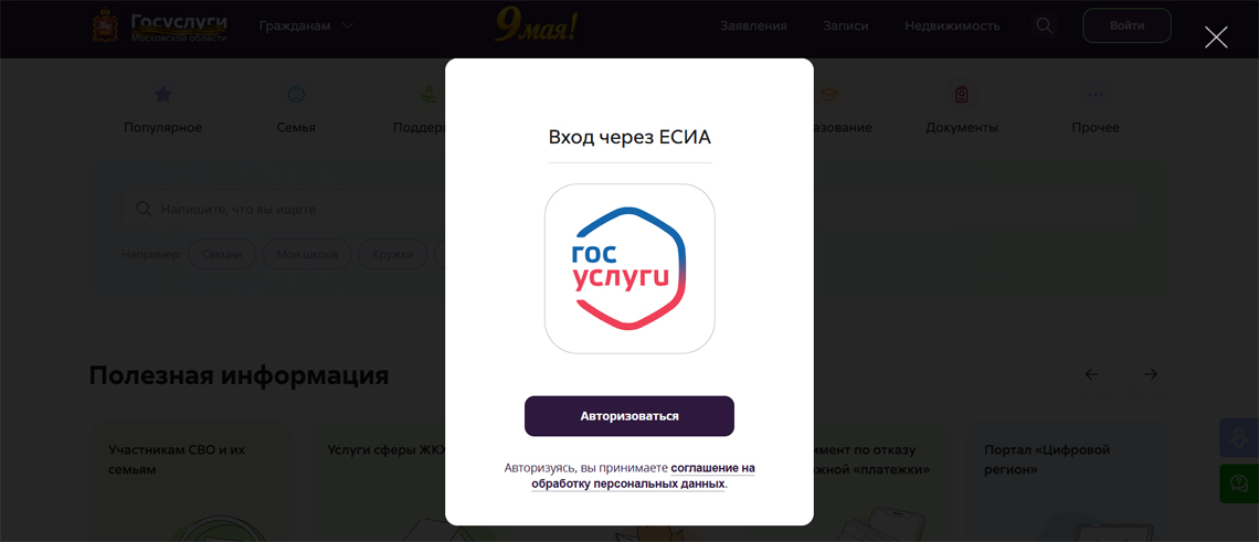 Авторизируемся через ГосУслуги